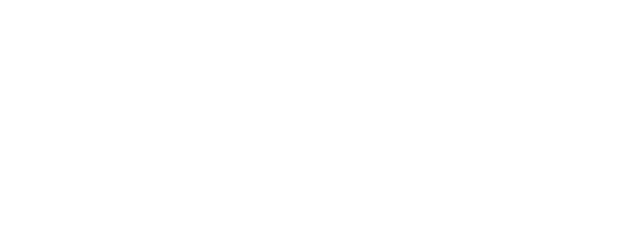 MEGA INTERNATIONAL